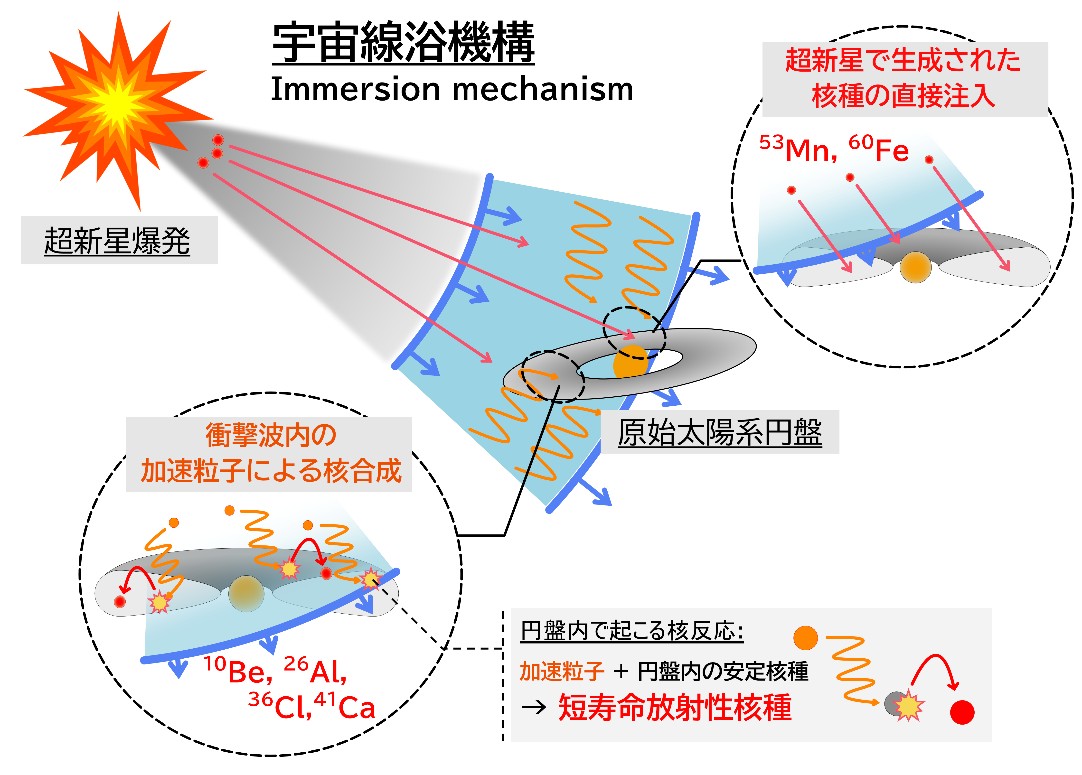【プレスリリース】過去の超新星が放った宇宙線が地球誕生のカギだった〜「宇宙線浴」メカニズムで太陽系の放射性元素の起源に迫る〜 | ICRR |  Institute for Cosmic Ray Research University of Tokyo