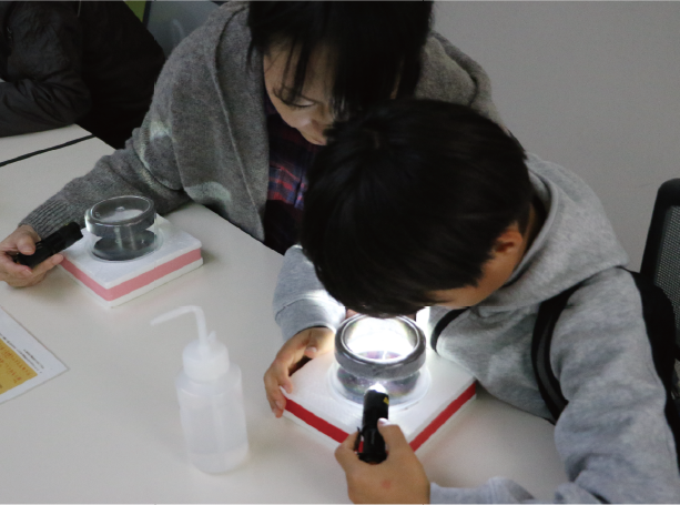 【2026年10月23-24日開催】東京大学柏キャンパス一般公開2026