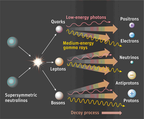 ニュートラリーノの対消滅から中間状態の粒子を経てガンマ線や各種の粒子・反粒子対が生成される様子